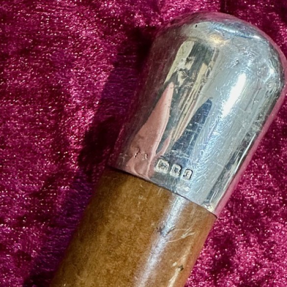 Solid Silver Topped Walking Stick 2